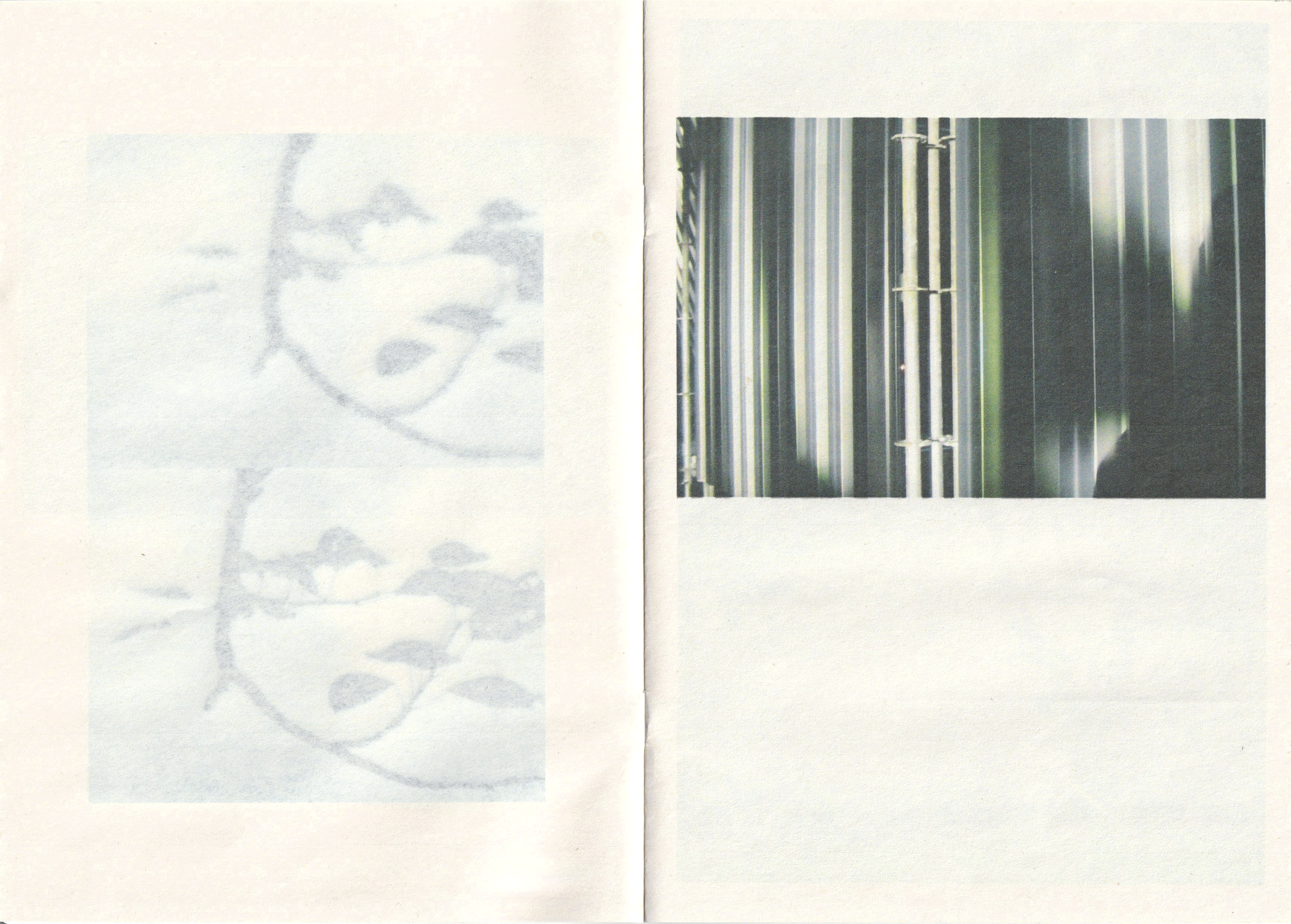 Descriptive Alt Text 2
